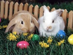 Easterbunnies